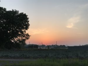 フリーアナウンサー 藤井千代美の独り言イメージ画像